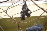 DSC_9117.JPG